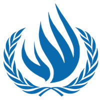 UN Human Rights Council adopts resolution