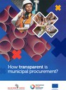 How transparent is municipal procurement?
