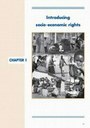 Chapter 1 - Introducing Socio-Economic Rights